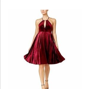 Endless Rose Red Wine Flare Velvet Dress